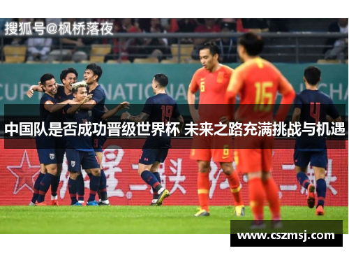 中国队是否成功晋级世界杯 未来之路充满挑战与机遇