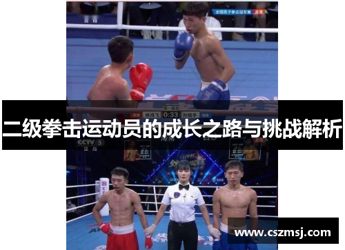 二级拳击运动员的成长之路与挑战解析