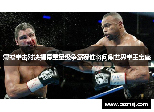 震撼拳击对决揭幕重量级争霸赛谁将问鼎世界拳王宝座