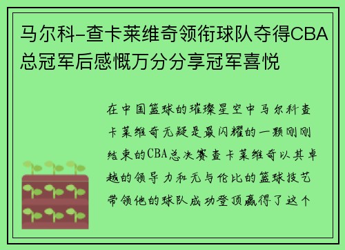 马尔科-查卡莱维奇领衔球队夺得CBA总冠军后感慨万分分享冠军喜悦
